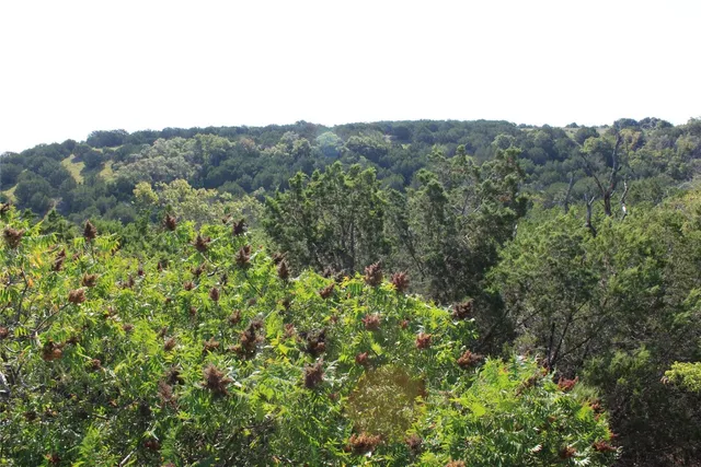 a view of a mountain in the distance in a field