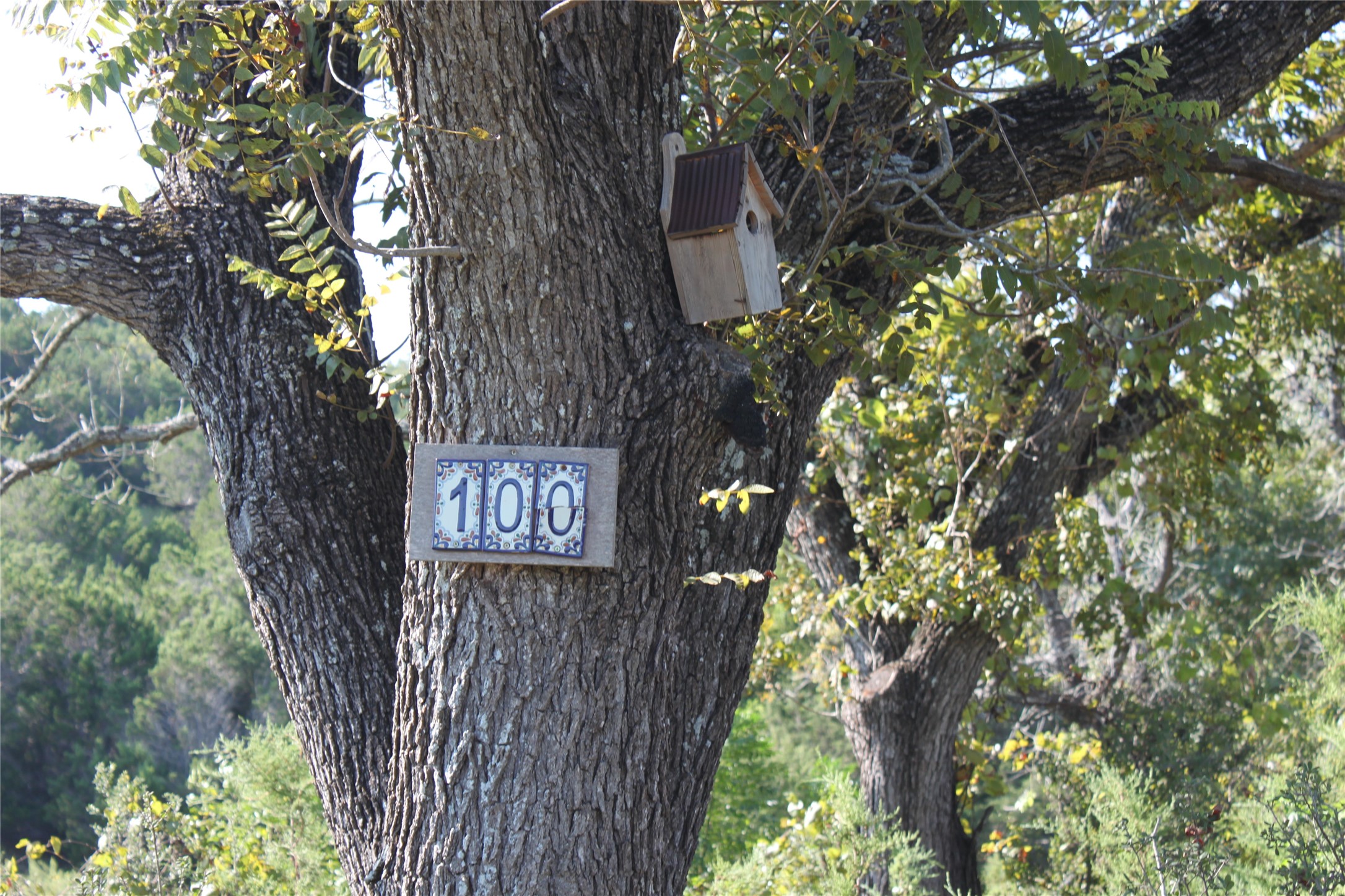 Lot 100 Saddle Ridge Drive Bertram, TX 78605 - Photo 2 of 27 a sign that is on a tree