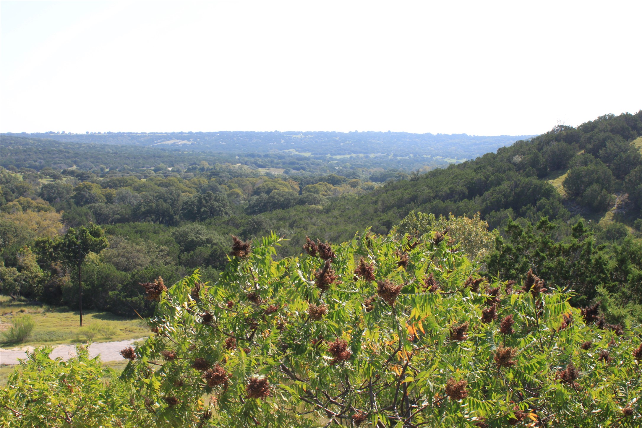 Lot 100 Saddle Ridge Drive Bertram, TX 78605 - Photo 21 of 27 a view of a bunch of trees and bushes