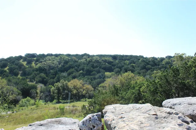 a view of a lake with a mountain in the background