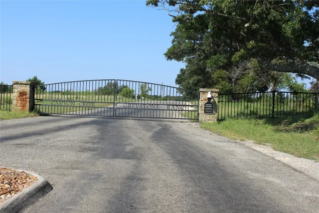 a view of a park with a large trees