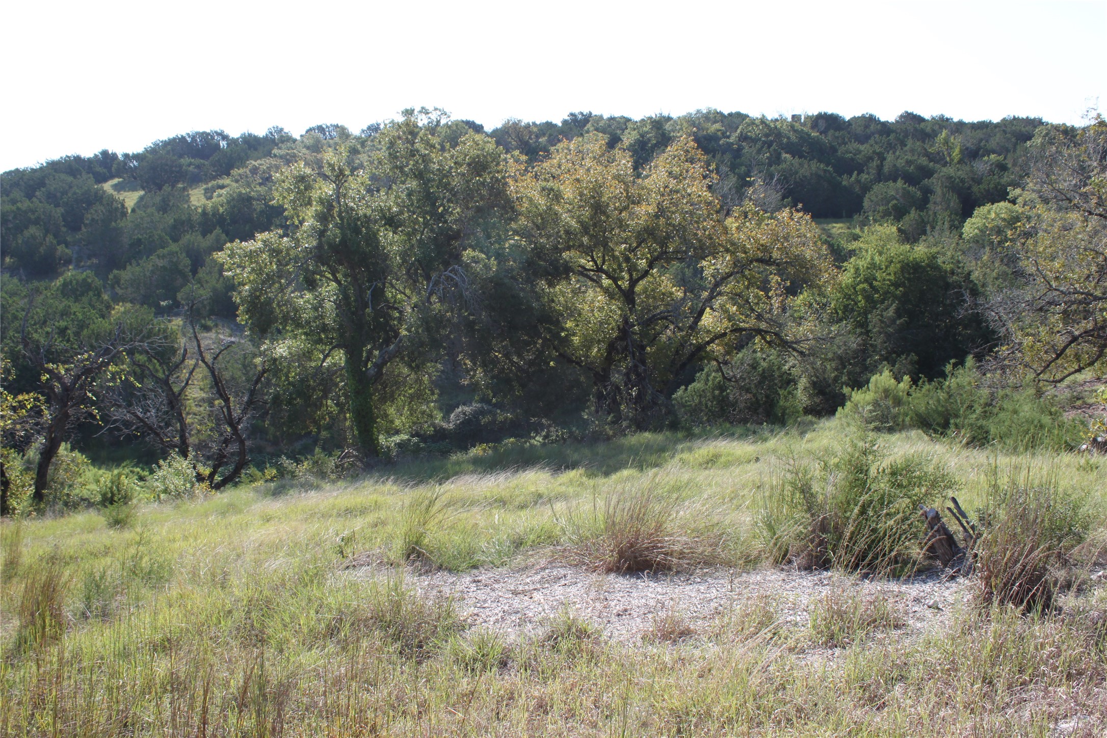 Lot 100 Saddle Ridge Drive Bertram, TX 78605 - Photo 8 of 27 a view of a lush green forest with a lake