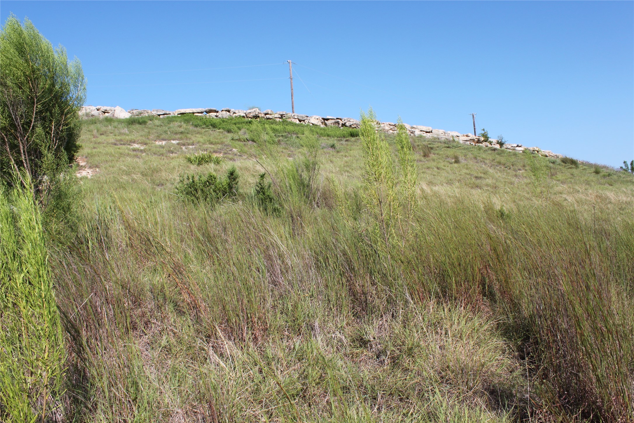 Lot 100 Saddle Ridge Drive Bertram, TX 78605 - Photo 9 of 27 a view of a large building