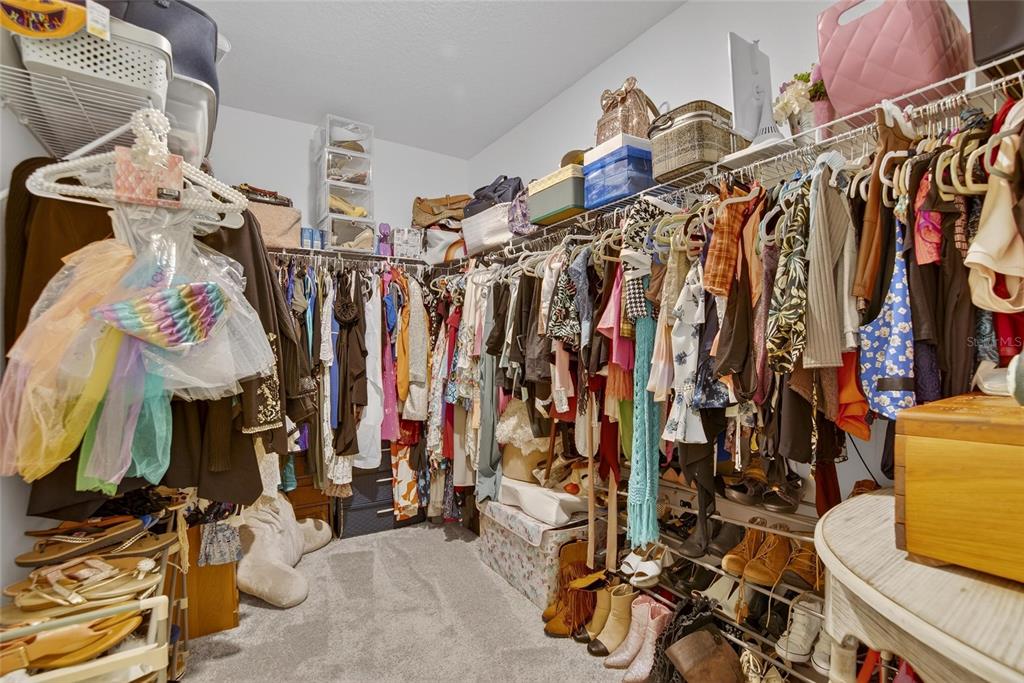 16909 April Plush Drive Wimauma, FL 33598 - Photo 19 of 89 a view of walk in closet with clothes