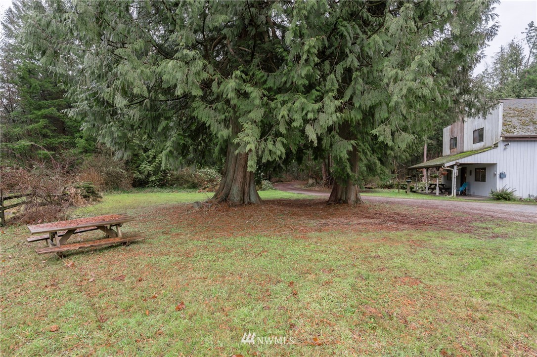 8501 Custer School Road Custer, WA 98240 - Photo 16 of 17