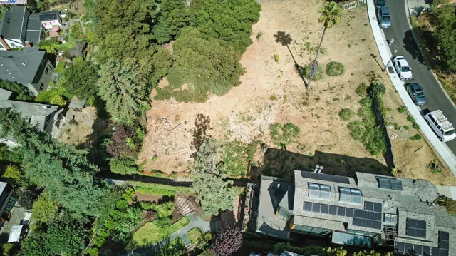 a view of a yard with plants and wooden fence