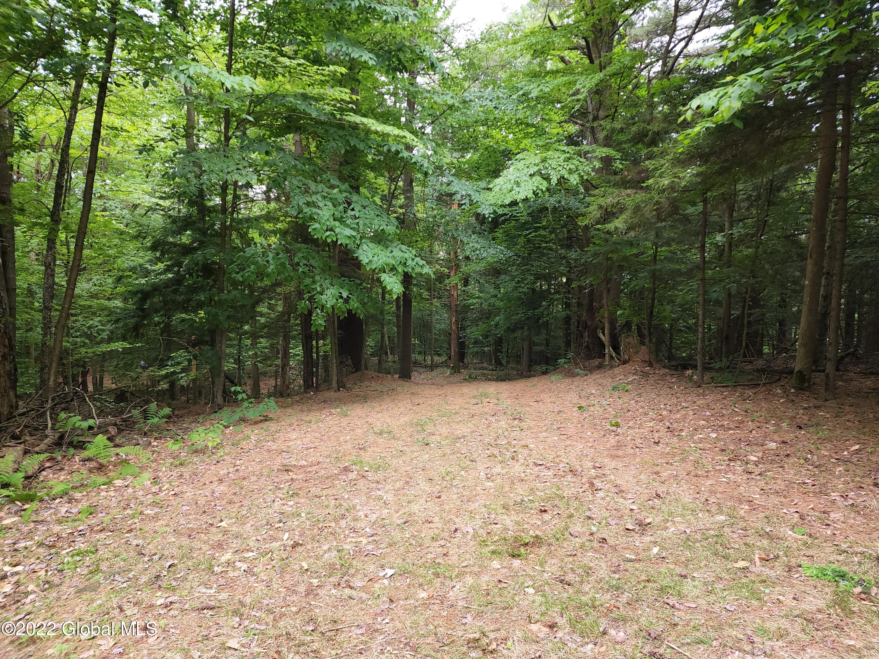 0 Center Line Road Galway, NY 12074 - Photo 10 of 43 20220622_165506