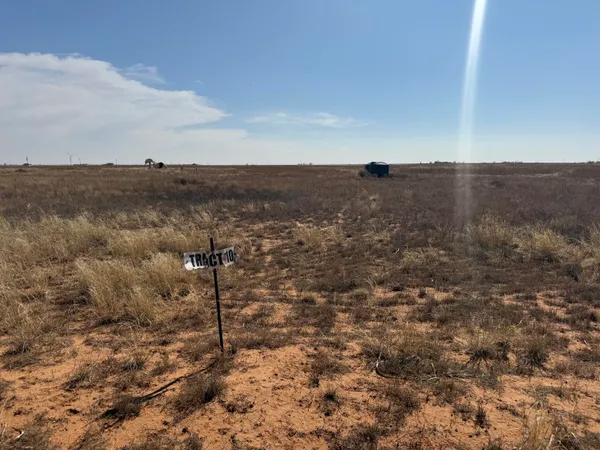 a view of a dry yard with wooden floor and fence