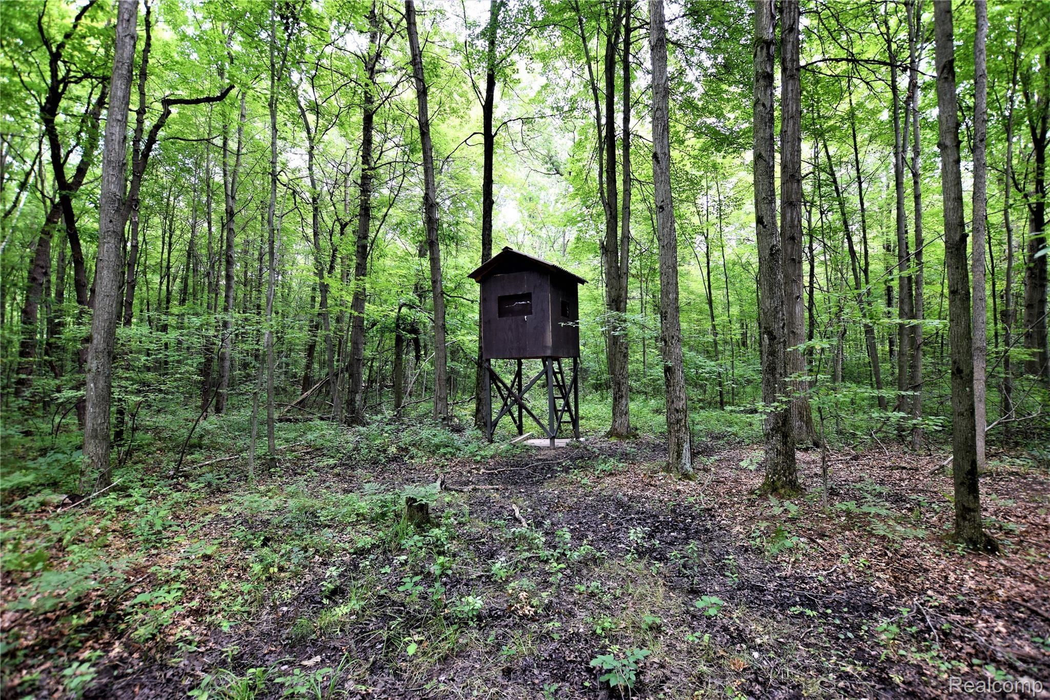 9901 Marshall Road Birch Run, MI 48415 - Photo 28 of 35 DSC_0005 (2).JPG