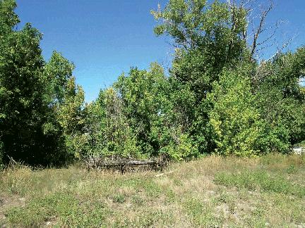 Lot 19 Le Ranch Boulevard Ridgway, CO 81432 - Photo 2 of 7 Lot
