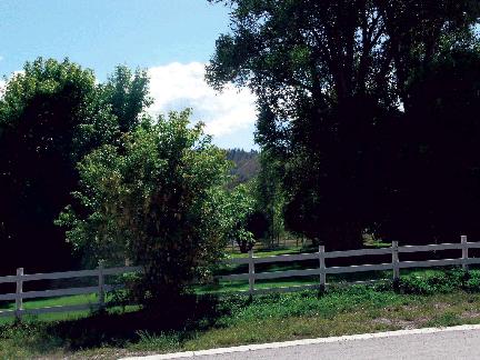Lot 19 Le Ranch Boulevard Ridgway, CO 81432 - Photo 4 of 7 View