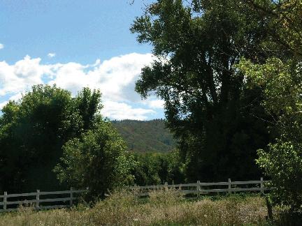 Lot 19 Le Ranch Boulevard Ridgway, CO 81432 - Photo 5 of 7 View-Farm