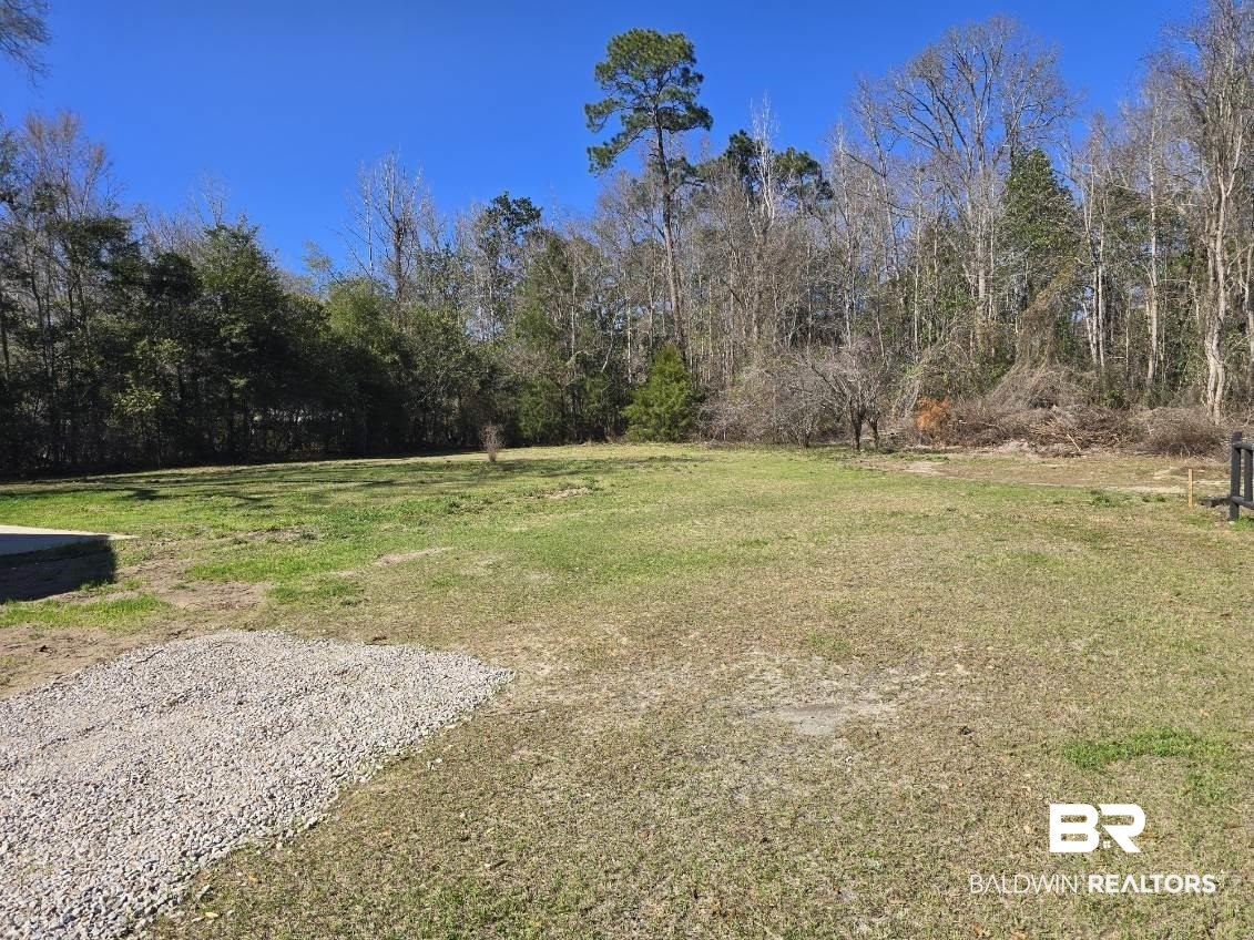 821 Dailey Street Brewton, AL 36426 - Photo 6 of 17 View of green lawn