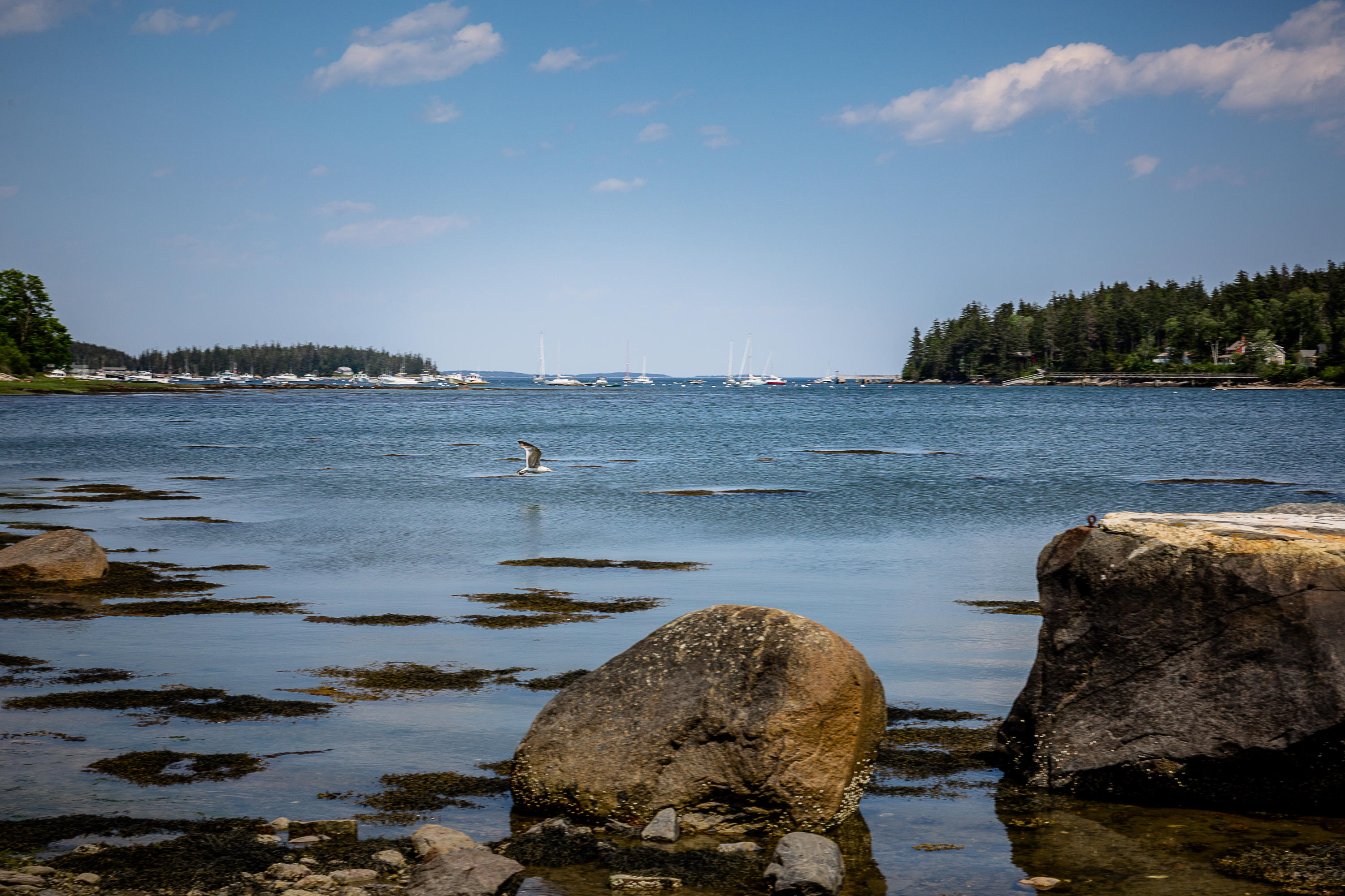5 Hope Lane St. George, ME 04860 - Photo 41 of 41 5Hope_59_S_print