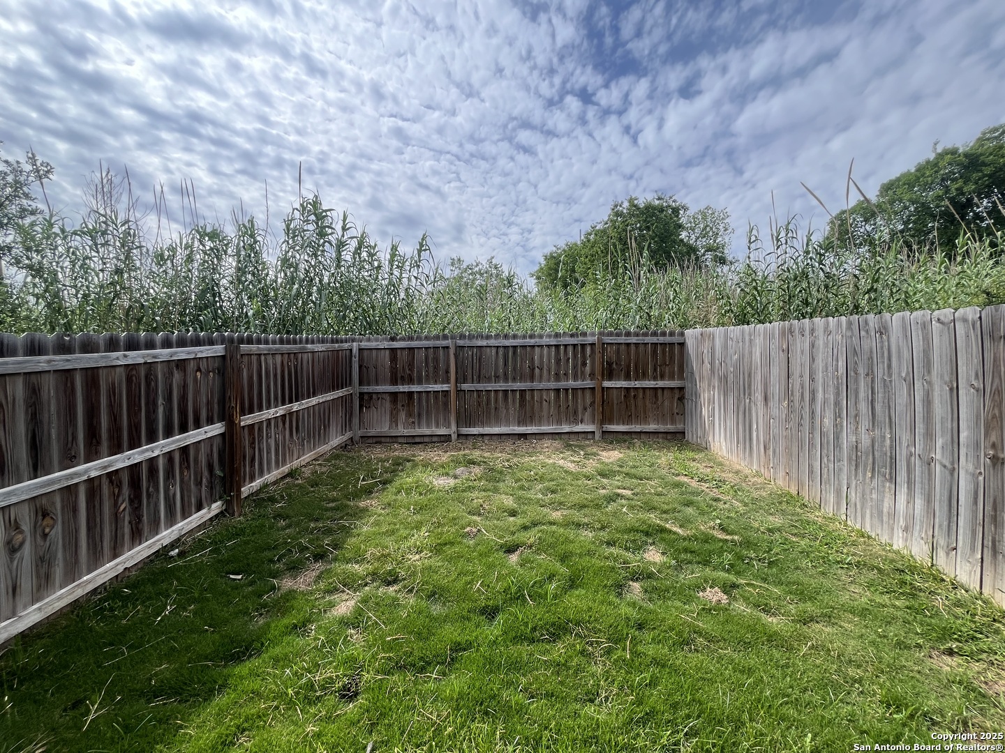 6530 Marcel Way, Unit 103 San Antonio, TX 78233 - Photo 30 of 31 a view of yard with green space