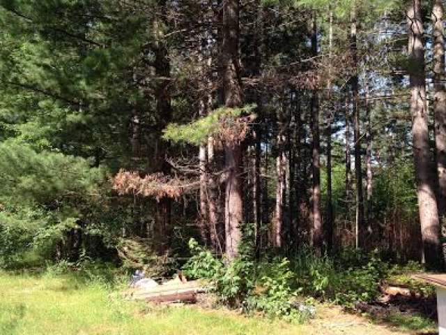 0 Cth L Tomahawk, WI 54487 - Photo 5 of 5 Gallery Image 5