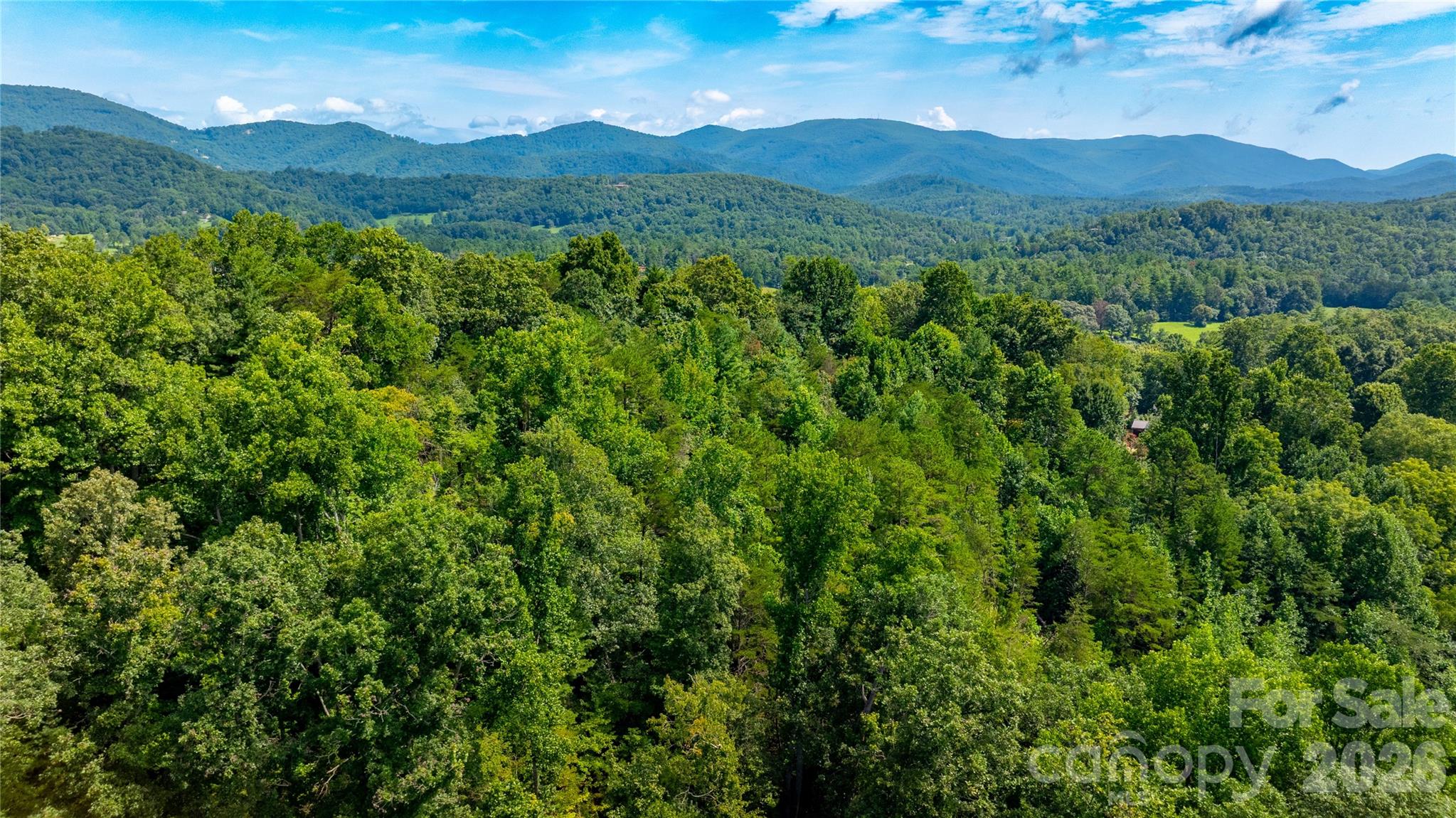 99999 Bob Barnwell Road Fletcher, NC 28732 - Photo 18 of 29 Gallery Image 18