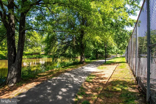 a view of a backyard with large trees