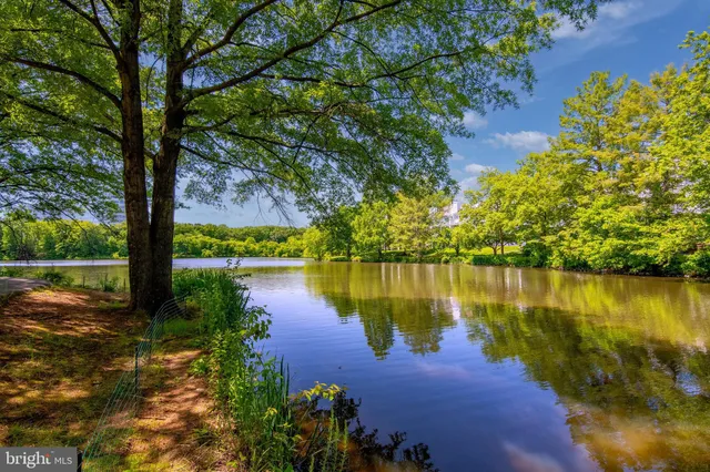 a view of a lake with houses in the back