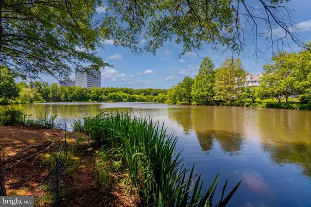 a view of a park with a slide