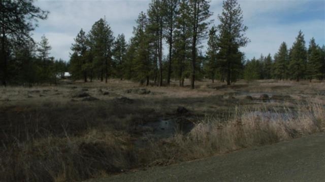 Lot 7 South Hunter Road Edwall, WA 99008 - Photo 14 of 18