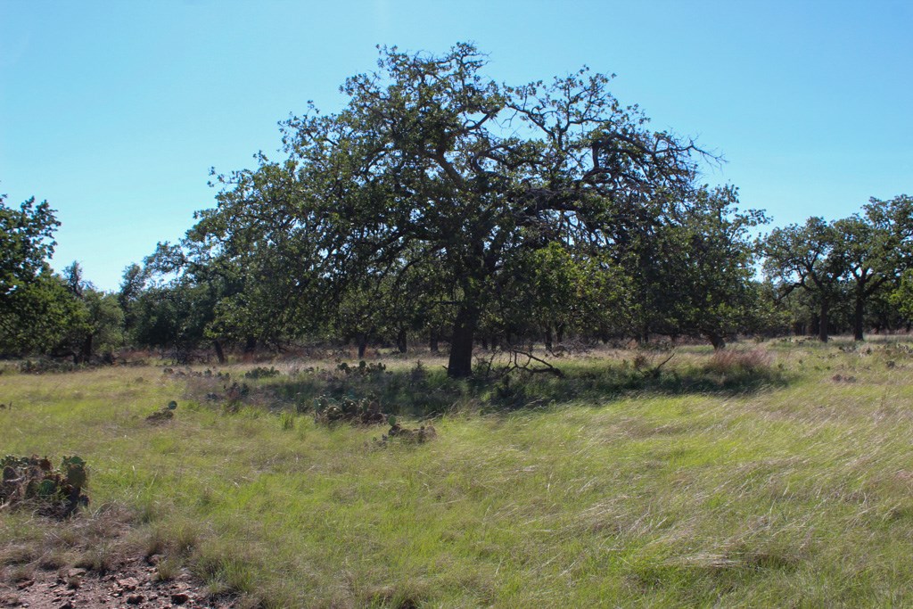 210 Apache Trace Northwest Harper, TX 78631 - Photo 3 of 4