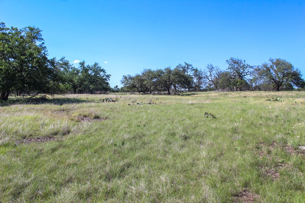 210 Apache Trace Northwest Harper, TX 78631 - Photo 4 of 4