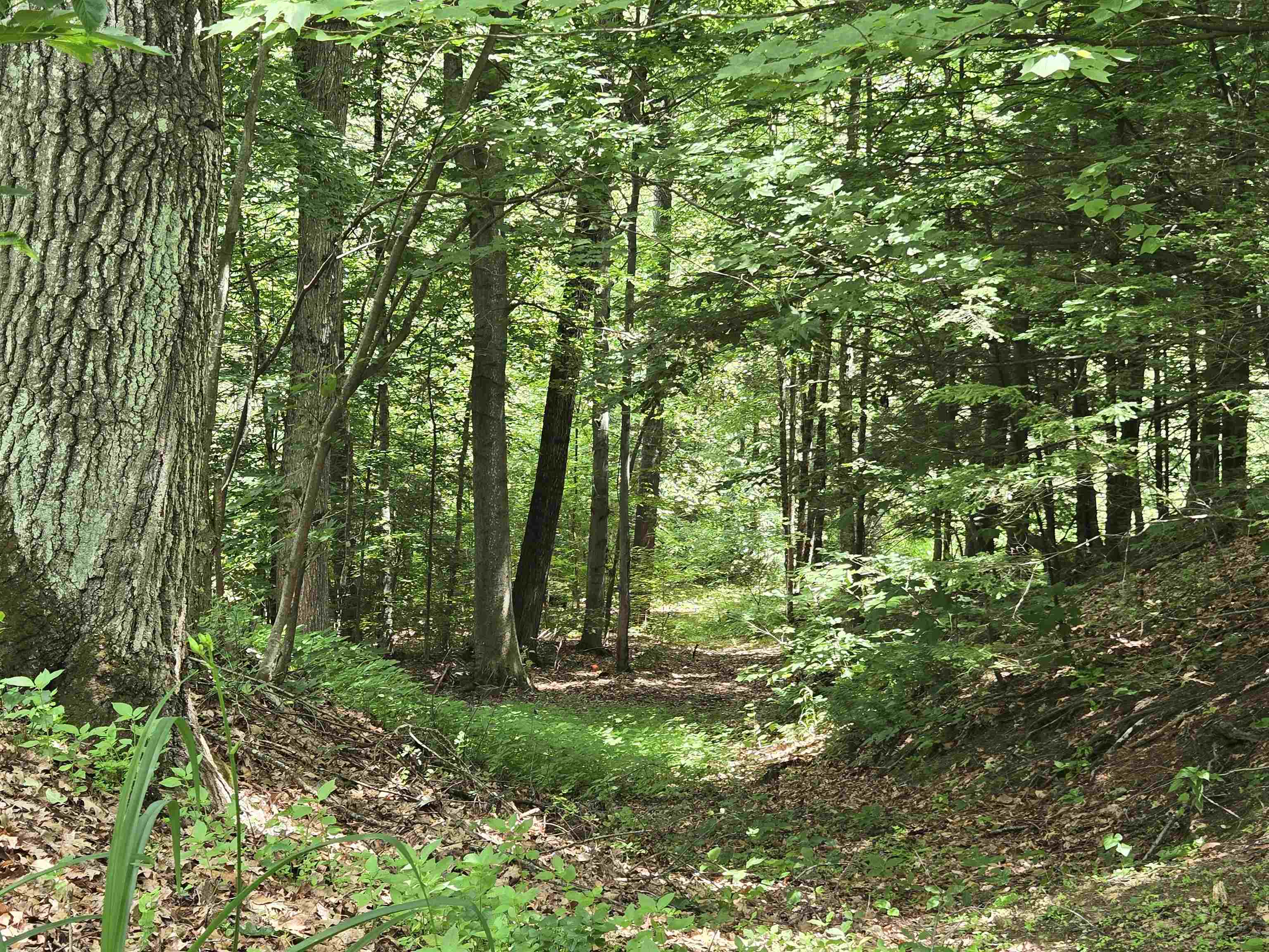 208 Nh Rte 3a Hill, NH 03243 - Photo 33 of 38