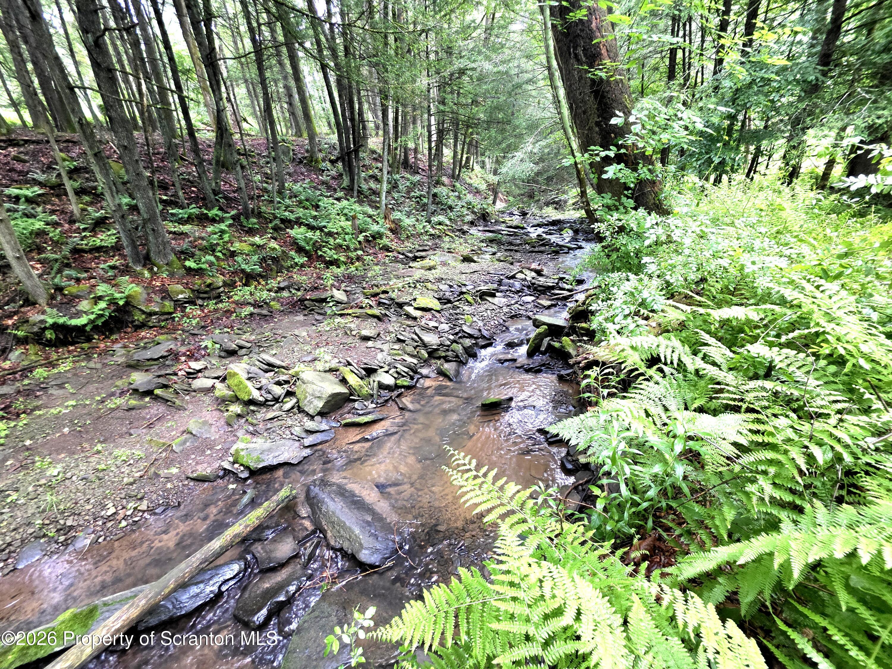 Pratt Hollow Road Nicholson, PA 18446 - Photo 14 of 18 Willow Brook creek