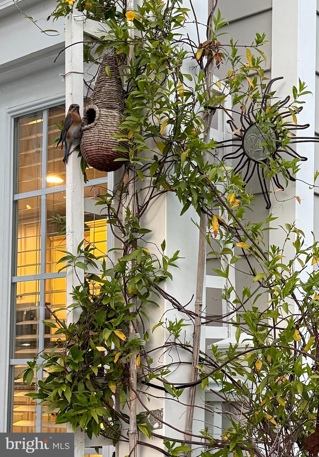 17518 Spring Cress Drive Dumfries, VA 22026 - Photo 59 of 89