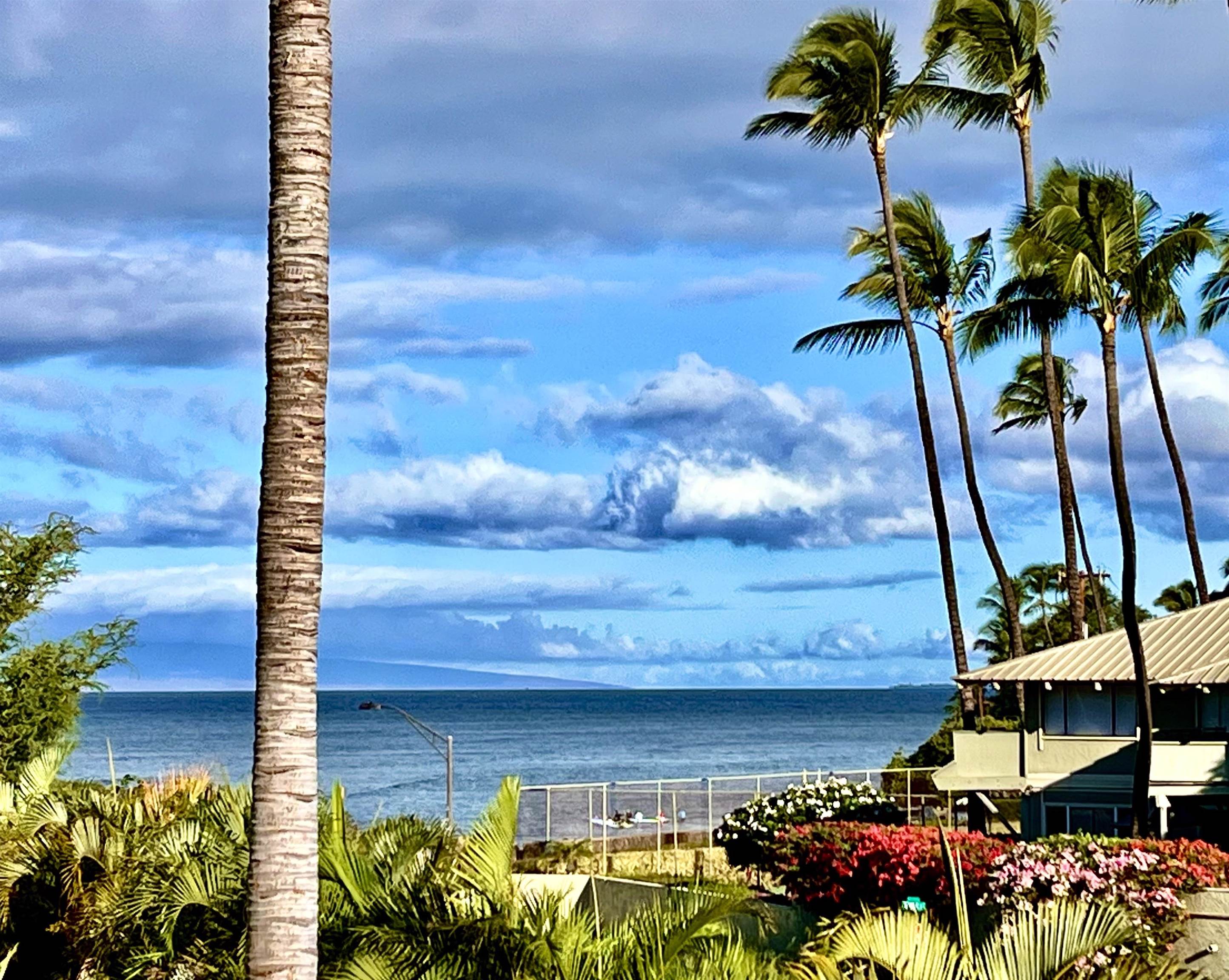 44 Kanani Road, Unit 2202 Kihei, HI 96753 - Photo 26 of 42 a vase of flowers sitting on a floor