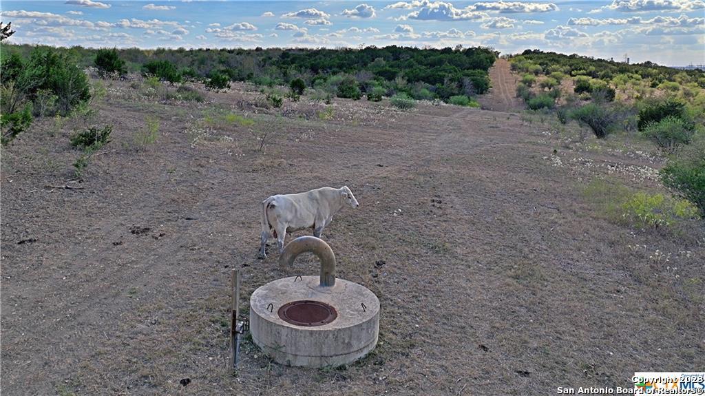 4000 Center Point Road San Marcos, TX 78666 - Photo 3 of 10 a view of a dry yard with mountain