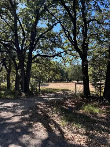 a view of a tree in the middle of a yard