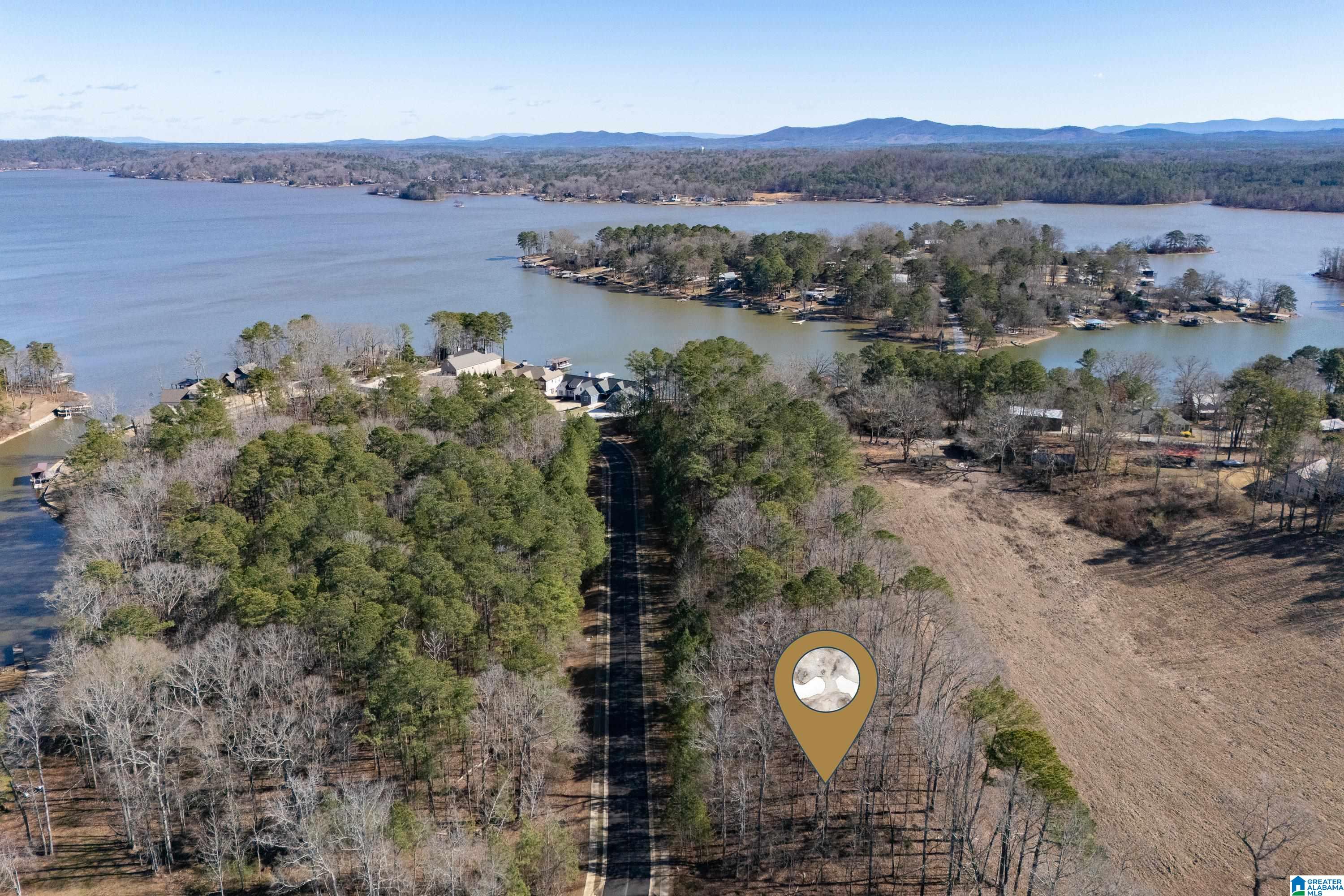 100 Coves Drive Vincent, AL 35178 - Photo 2 of 21