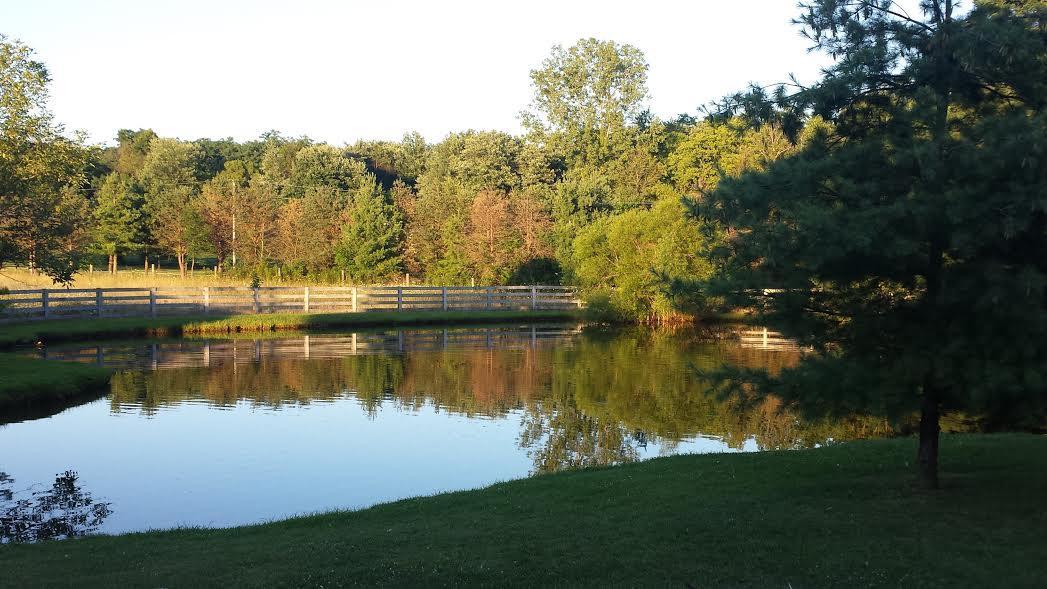 13963 Chambers Road Sunbury, OH 43074 - Photo 74 of 76 Gallery Image 74