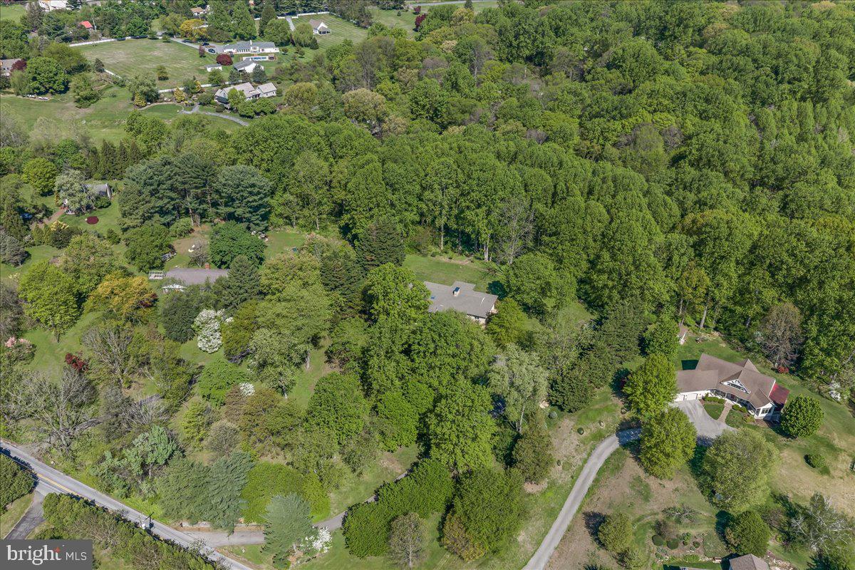 322 Buttonwood Road Landenberg, PA 19350 - Photo 2 of 60 Lush greenery surrounds serene homes.