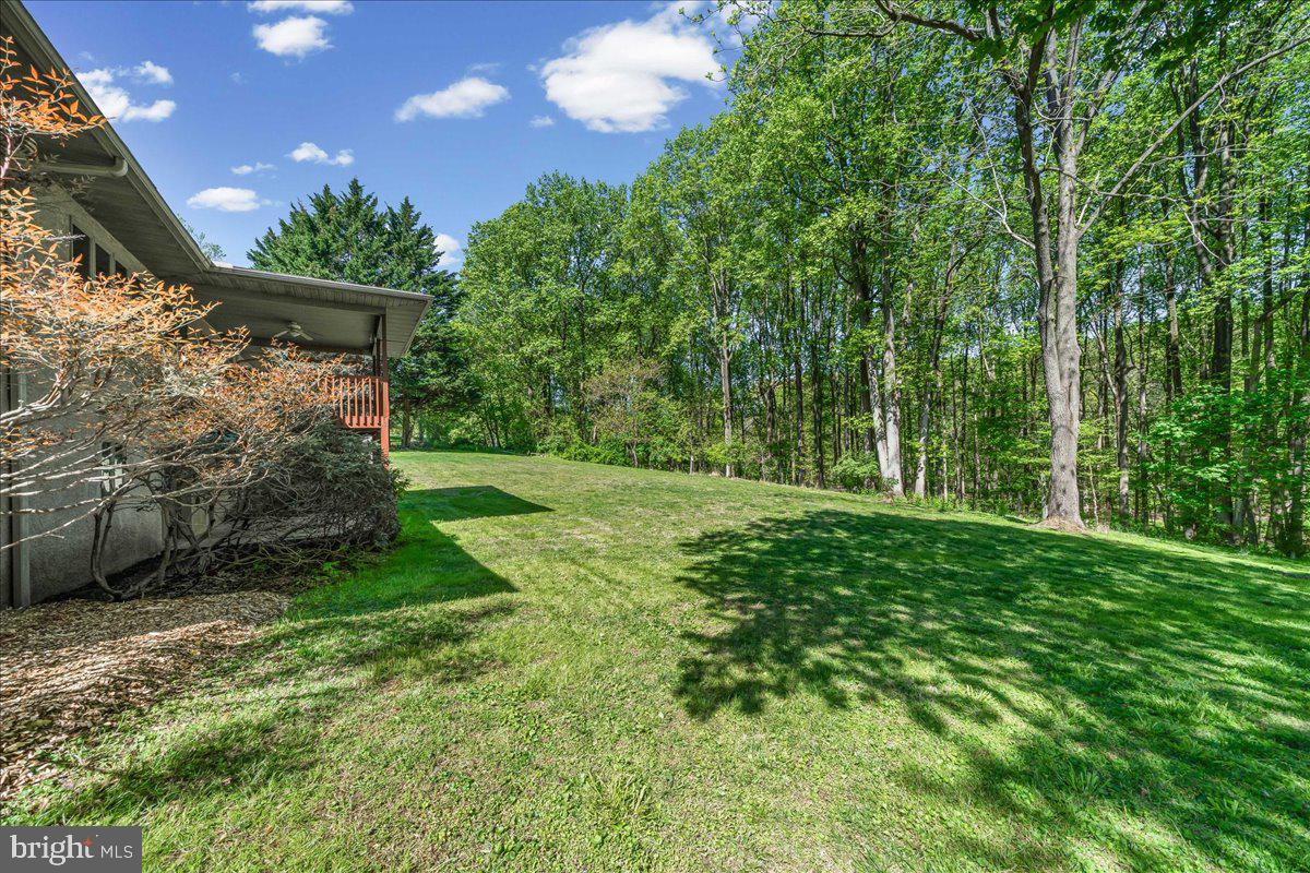 322 Buttonwood Road Landenberg, PA 19350 - Photo 42 of 60 Serene backyard with lush greenery.