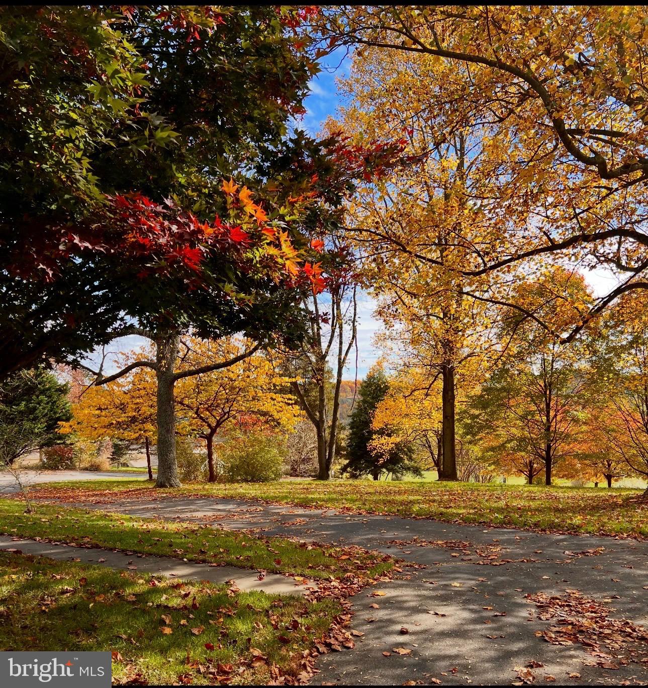 322 Buttonwood Road Landenberg, PA 19350 - Photo 54 of 60 Autumn's vibrant tapestry unfolds.