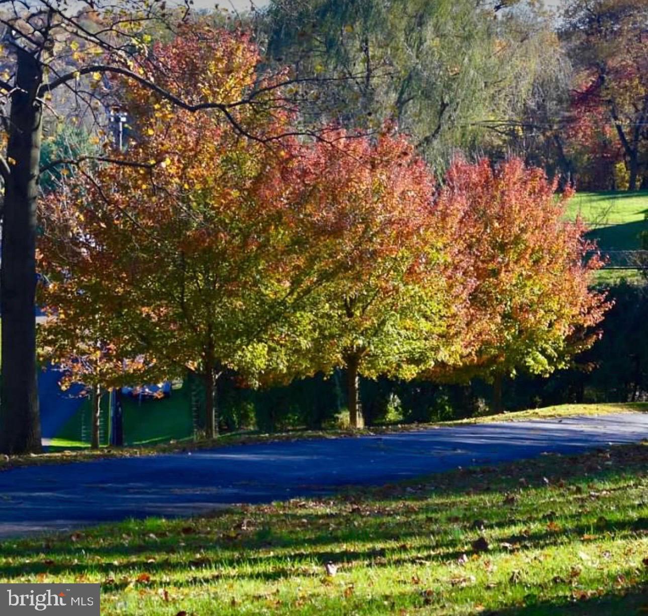 322 Buttonwood Road Landenberg, PA 19350 - Photo 57 of 60 Autumn hues lining a tranquil path.