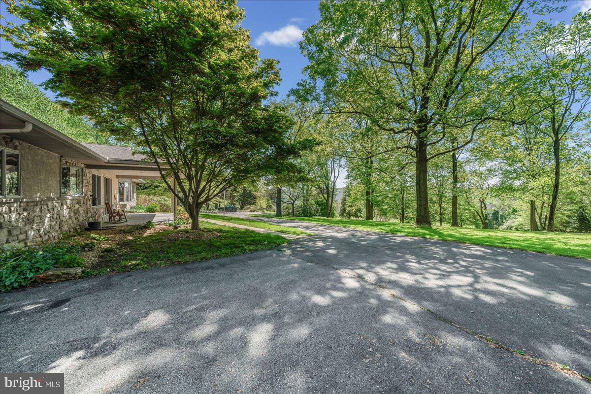 322 Buttonwood Road Landenberg, PA 19350 - Photo 7 of 60 Serene driveway amidst lush greenery.