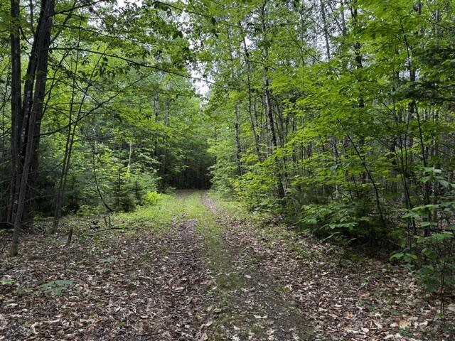 46 Dore Hill Road Athens, ME 04912 - Photo 2 of 14 IMG_5121