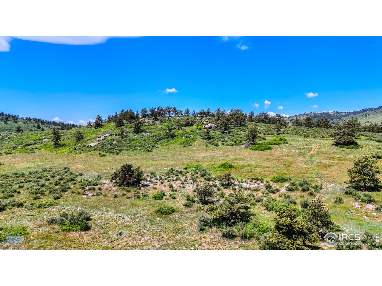 0 County Road Berthoud, CO 80513 - Photo 13 of 30 a open area with green field and trees