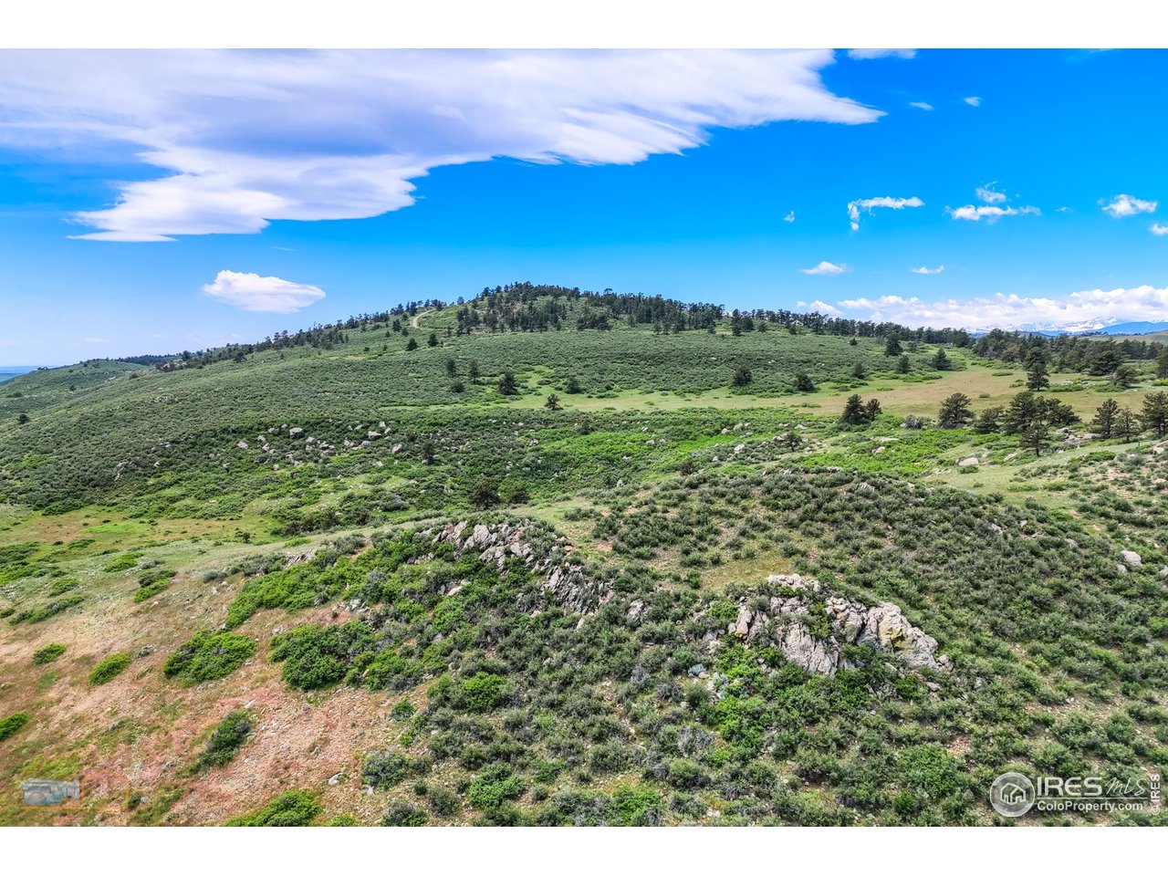 0 County Road Berthoud, CO 80513 - Photo 24 of 30 a view of a city with lush green forest