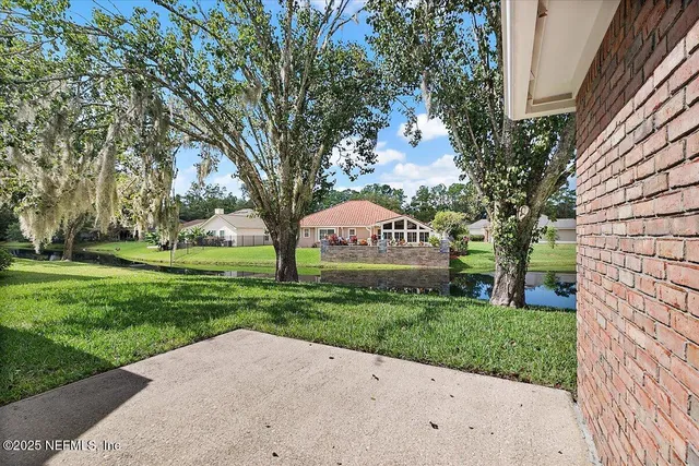 a view of a park with large trees