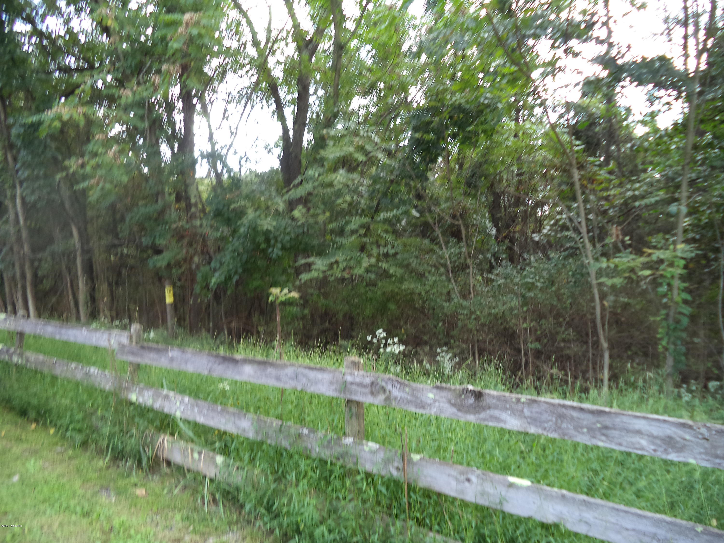 0 Quick Road Muncy, PA 17756 - Photo 4 of 6 DSC00647