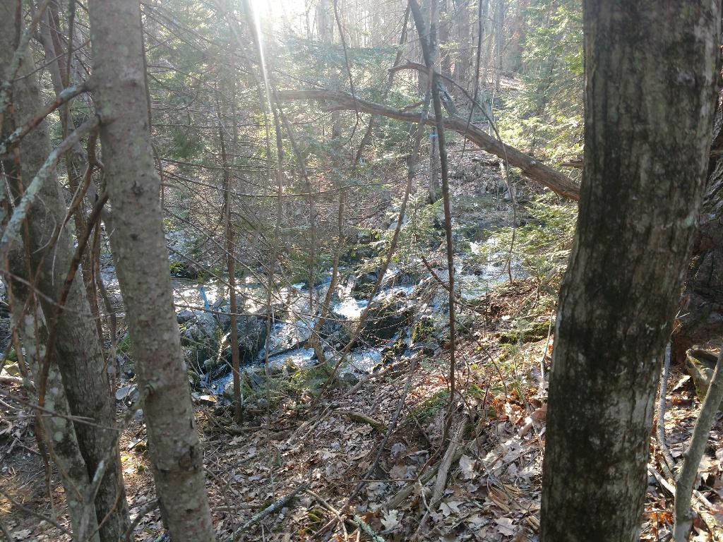 10 Oak Ridge Terrace Arundel, ME 04046 - Photo 5 of 11 2