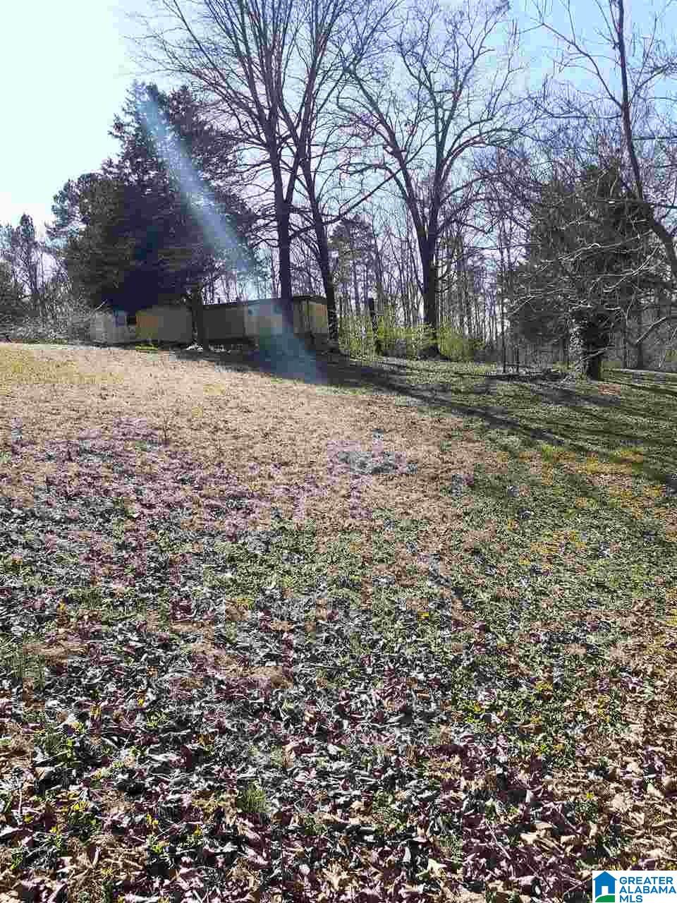115 Rowland Road, Unit 115 Ashville, AL 35953 - Photo 2 of 4