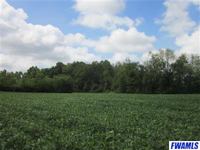 10000 Bluffton Road Fort Wayne, IN 46809 - Photo 1 of 9