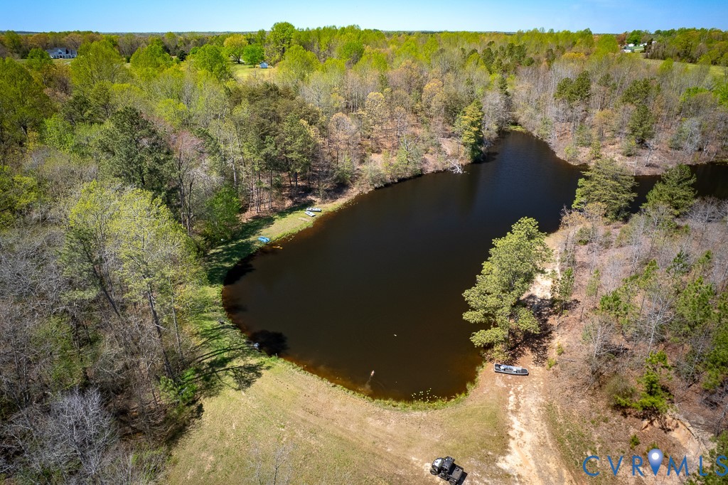 18262 Seals Road Bowling Green, VA 22427 - Photo 3 of 50 a view of a forest with a lake