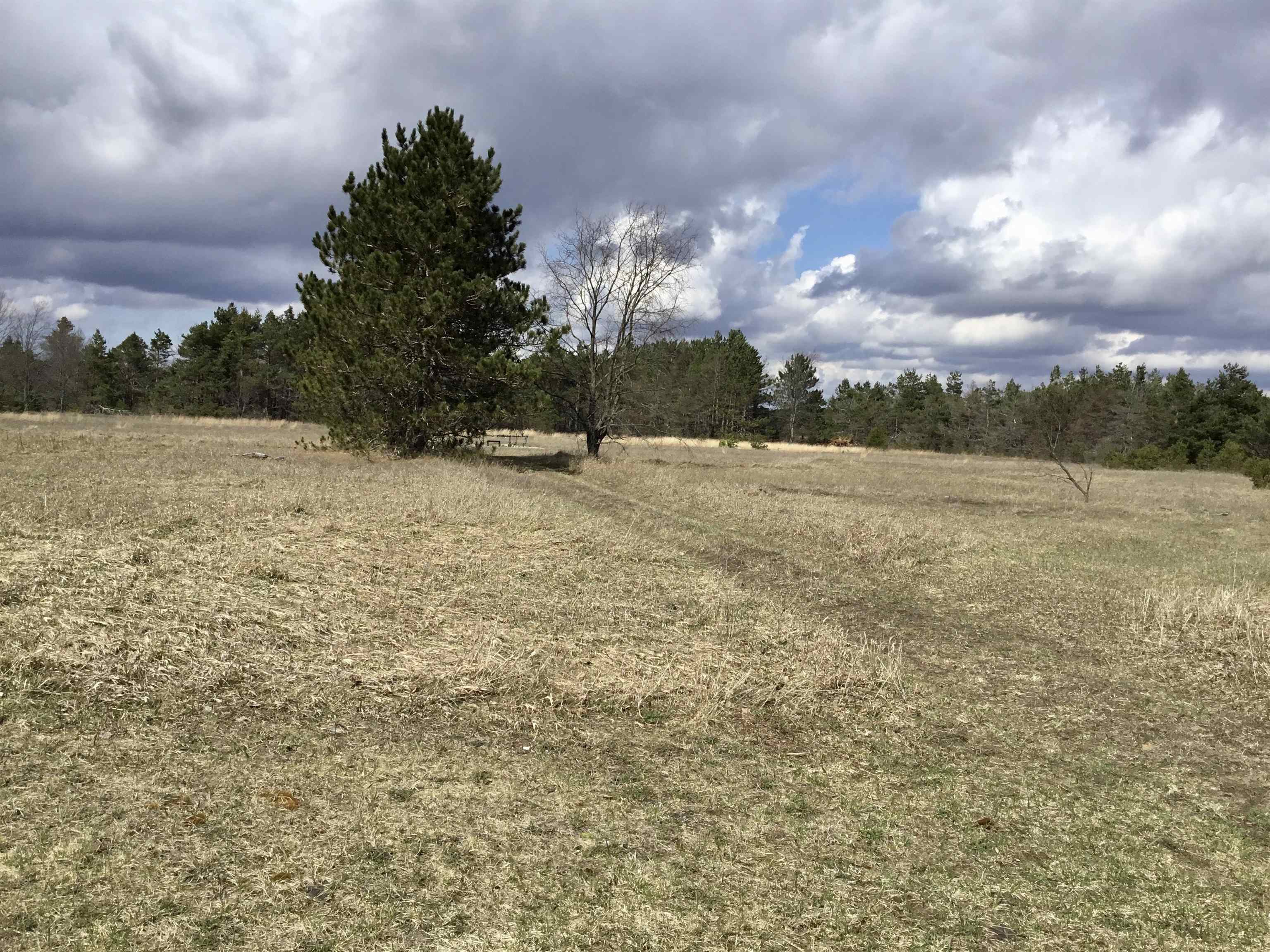 402 West Elder Road Mancelona, MI 49659 - Photo 12 of 32 1898882-12.JPG